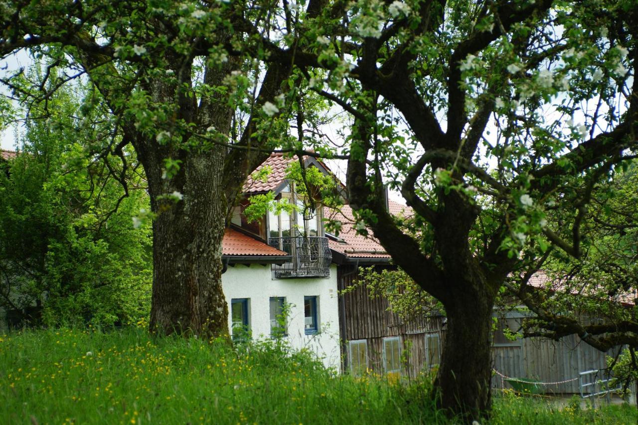 Untrasried Moosmuehle Allgaeu מראה חיצוני תמונה