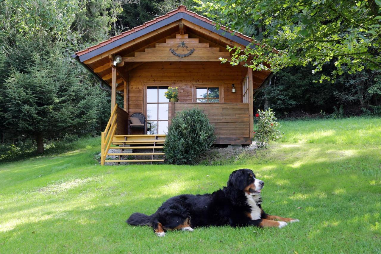 Untrasried Moosmuehle Allgaeu מראה חיצוני תמונה